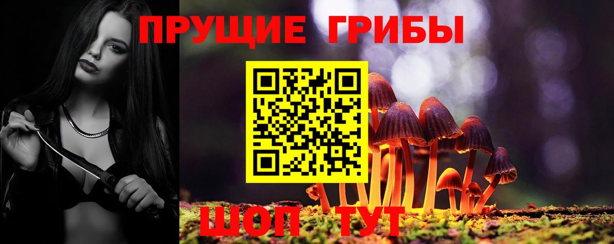 Псилоцибиновые грибы Psilocybe  Галлюциногенные грибы прущие грибы  Вход с VPN  Кириши 
